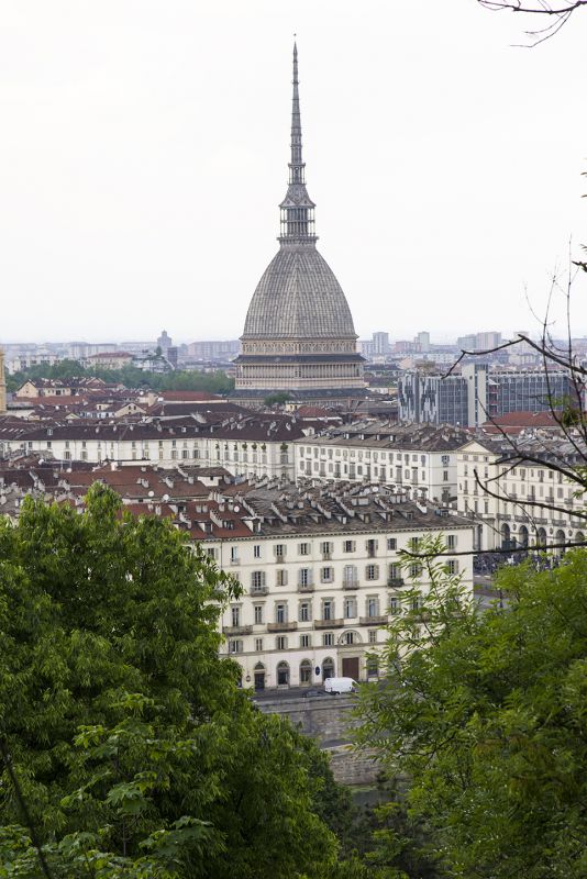 Turin - 7917